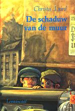 de schaduw van de muur
